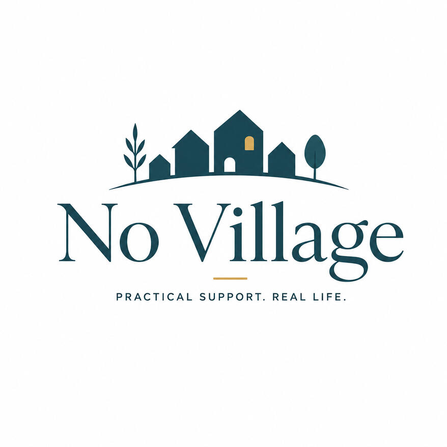 When You Don't Have a Village book cover by Abigail Daniels
