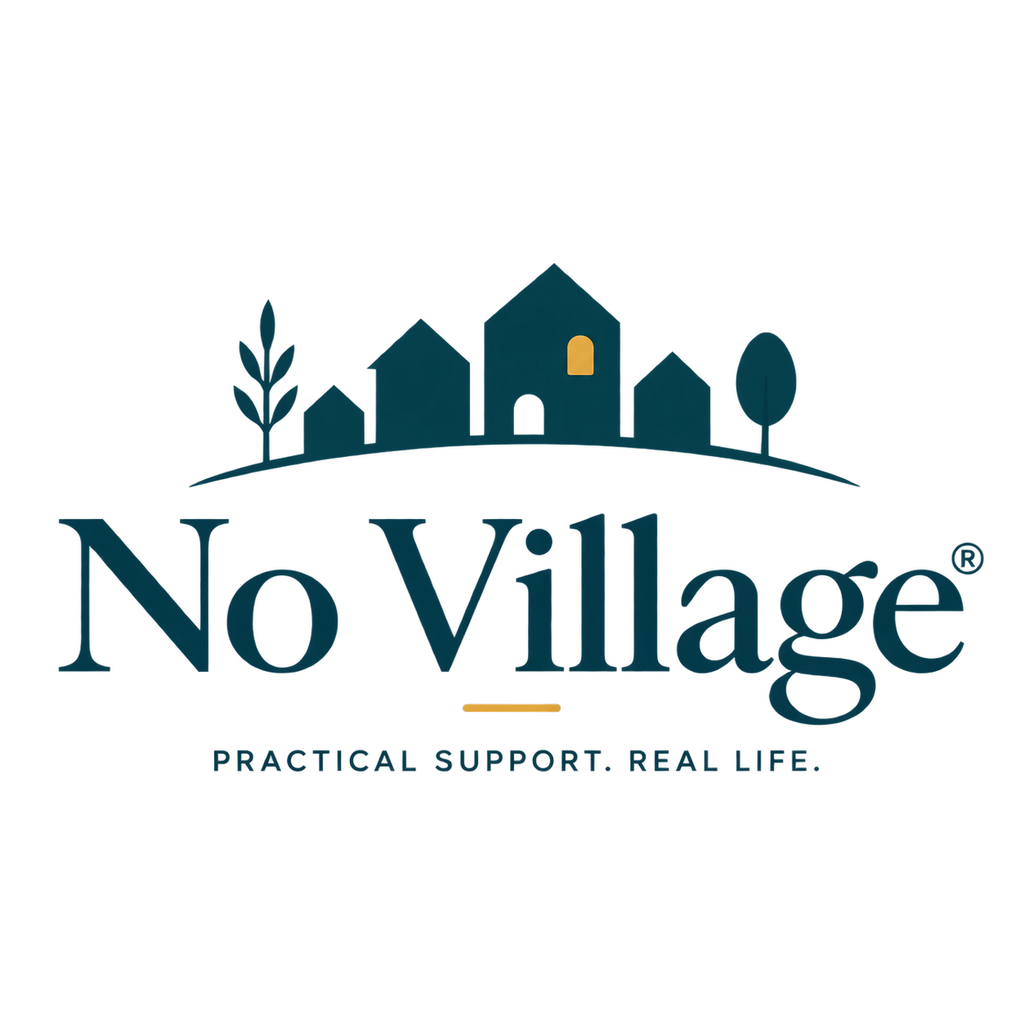 When You Don't Have a Village book cover by Abigail Daniels